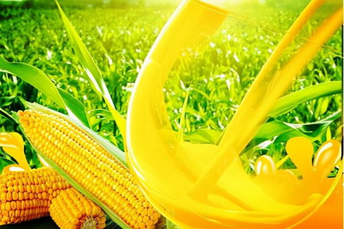 吉林食品工業(yè)公司股權(quán)轉(zhuǎn)讓及其對(duì)農(nóng)副產(chǎn)品銷售的影響