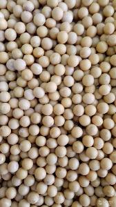 4GL-175型大豆割曬機 價格、品牌廠家與農副產品銷售全解析