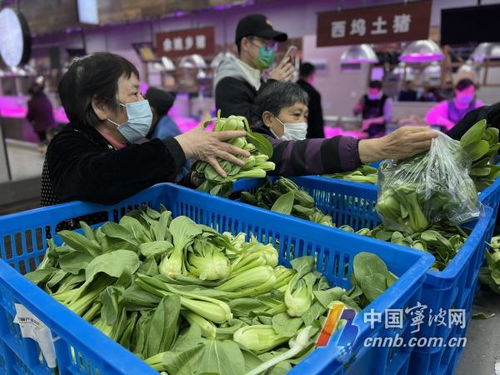 寧波五菜場設平價專供點 小青菜5元/公斤惠民銷售