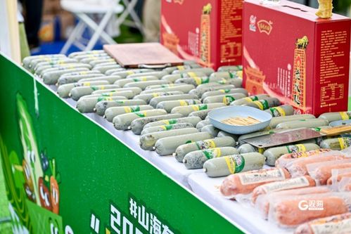 青島農品 以品牌之光，照亮鄉村振興之路——2024青島品牌日農副產品展銷盛況紀實