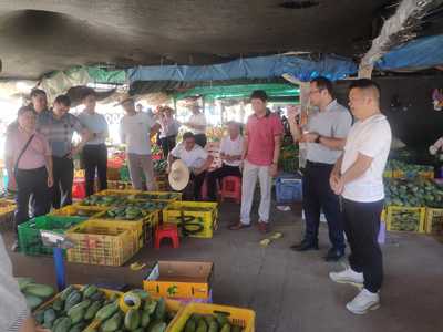 桂平市供銷合作社赴田陽區考察學習 探索農副產品銷售新路徑