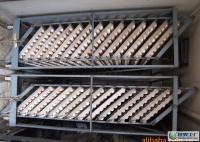 物美價廉，品質無憂 來自世界工廠網的優良柴雞蛋